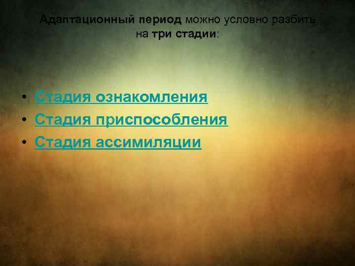 Адаптационный период можно условно разбить на три стадии: • Стадия ознакомления • Стадия приспособления