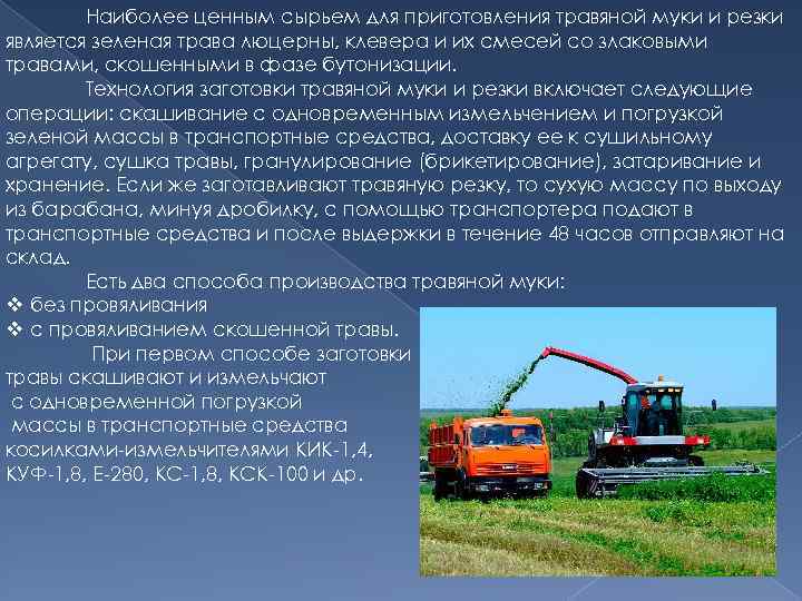 Наиболее ценным сырьем для приготовления травяной муки и резки является зеленая трава люцерны, клевера