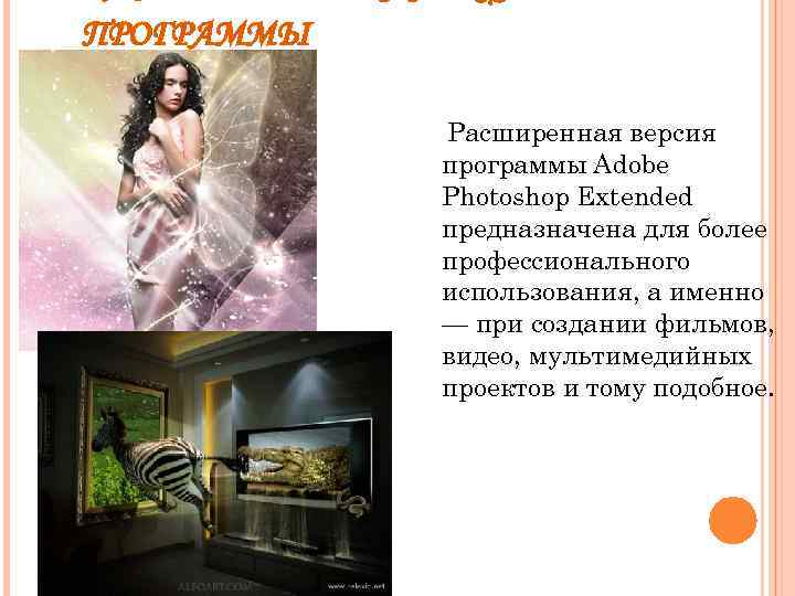 ПРОГРАММЫ Расширенная версия программы Adobe Photoshop Extended предназначена для более профессионального использования, а именно