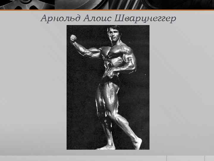 Арнольд Алоис Шварцнеггер 