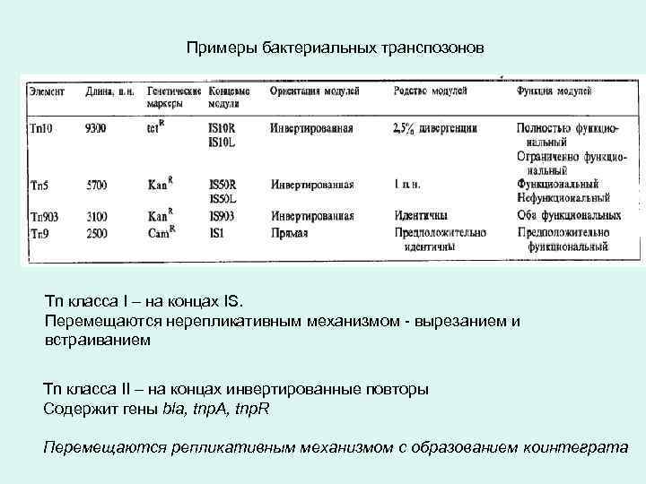 Примеры бактериальных транспозонов Tn класса I – на концах IS. Перемещаются нерепликативным механизмом -