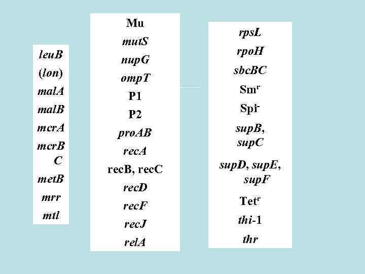 leu. B (lon) mal. A mal. B mcr. A mcr. B C met. B