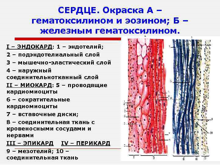 Какие компоненты составляют сердце компьютерной системы