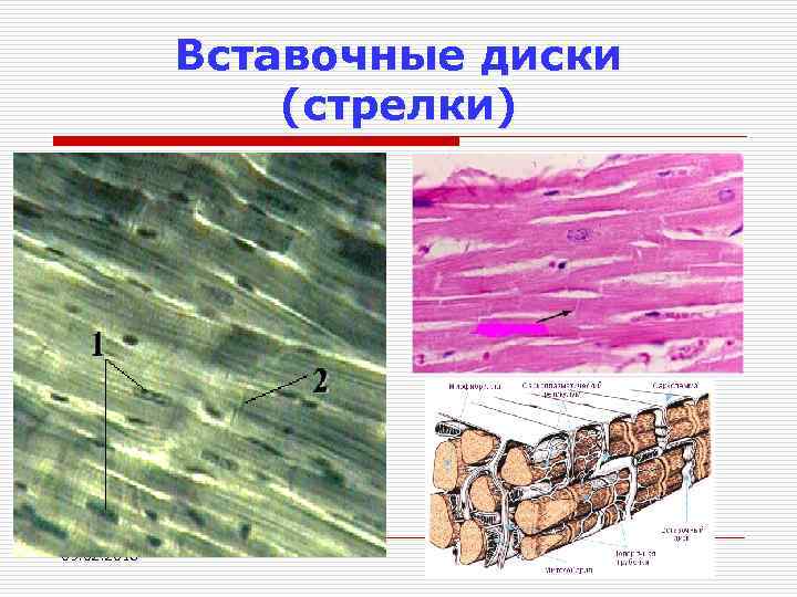 Какие компоненты составляют сердце компьютерной системы