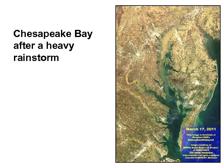 Chesapeake Bay after a heavy rainstorm 