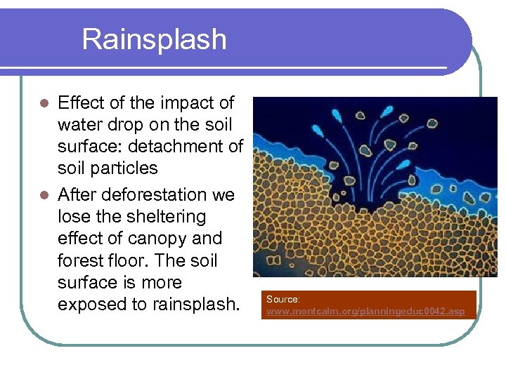 Rainsplash Effect of the impact of water drop on the soil surface: detachment of