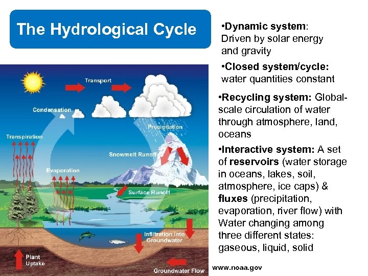 The Hydrological Cycle • Dynamic system: Driven by solar energy and gravity • Closed