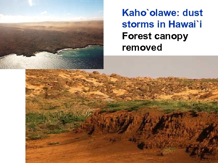 Kaho`olawe: dust storms in Hawai`i Forest canopy removed 