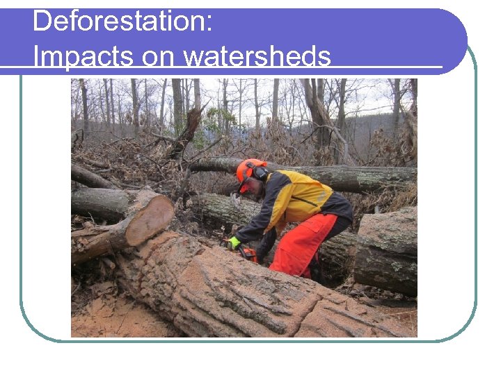 Deforestation: Impacts on watersheds 