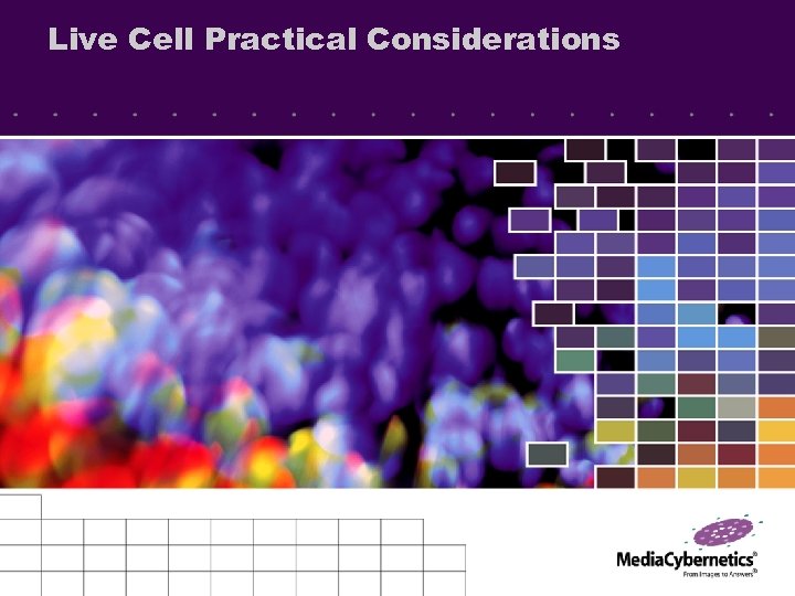 Live Cell Practical Considerations 