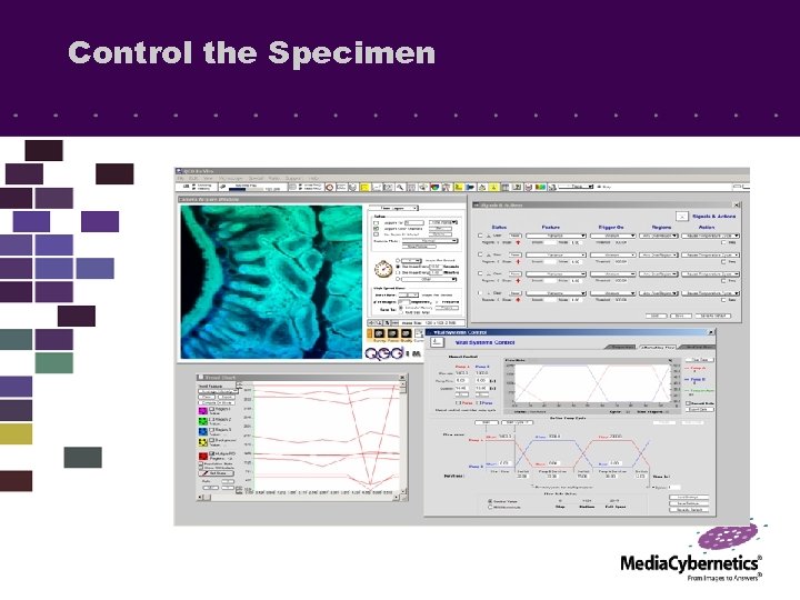 Control the Specimen 
