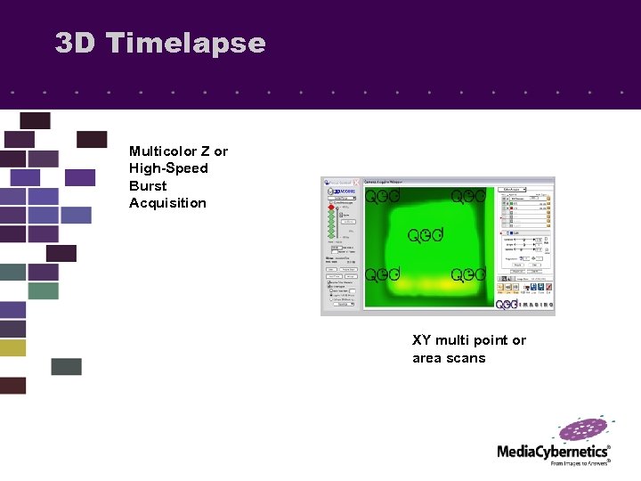 3 D Timelapse Multicolor Z or High-Speed Burst Acquisition XY multi point or area