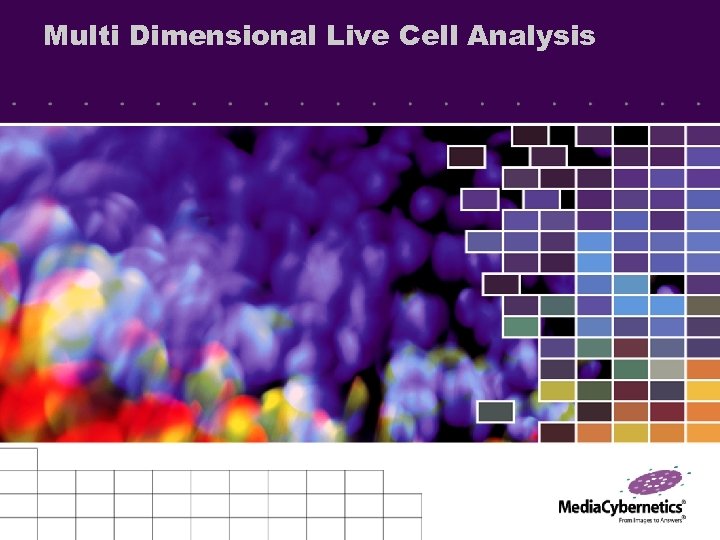 Multi Dimensional Live Cell Analysis 