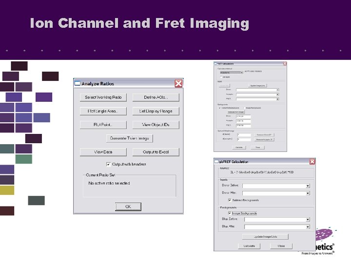 Ion Channel and Fret Imaging 