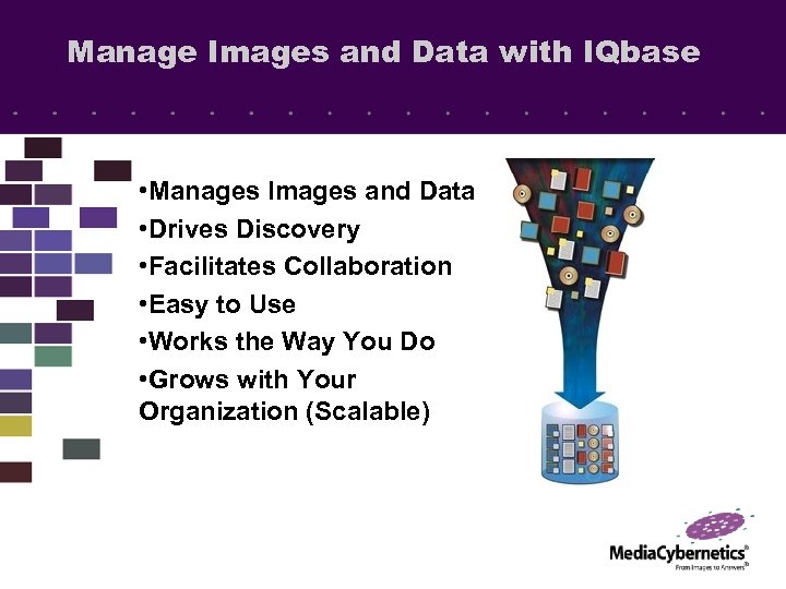 Manage Images and Data with IQbase • Manages Images and Data • Drives Discovery