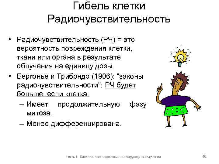 Гибель клетки Радиочувствительность • Радиочувствительность (РЧ) = это вероятность повреждения клетки, ткани или органа