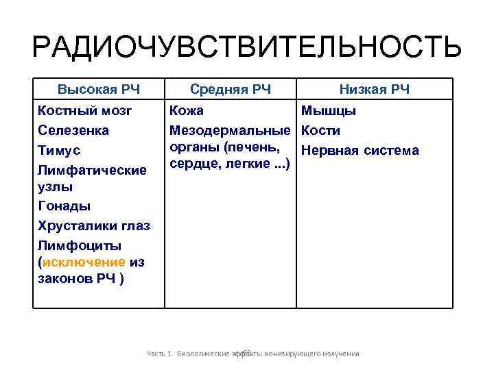 РАДИОЧУВСТВИТЕЛЬНОСТЬ Высокая РЧ Средняя РЧ Костный мозг Селезенка Тимус Лимфатические узлы Гонады Хрусталики глаз