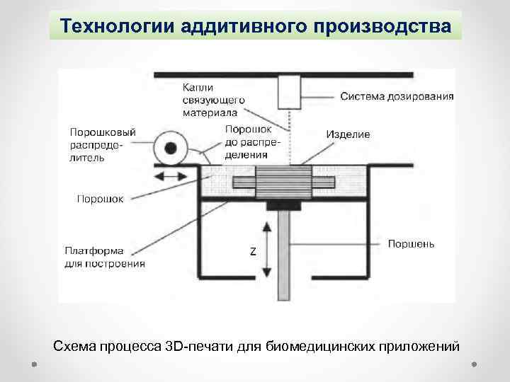 Технологии аддитивного производства Схема процесса 3 D-печати для биомедицинских приложений 