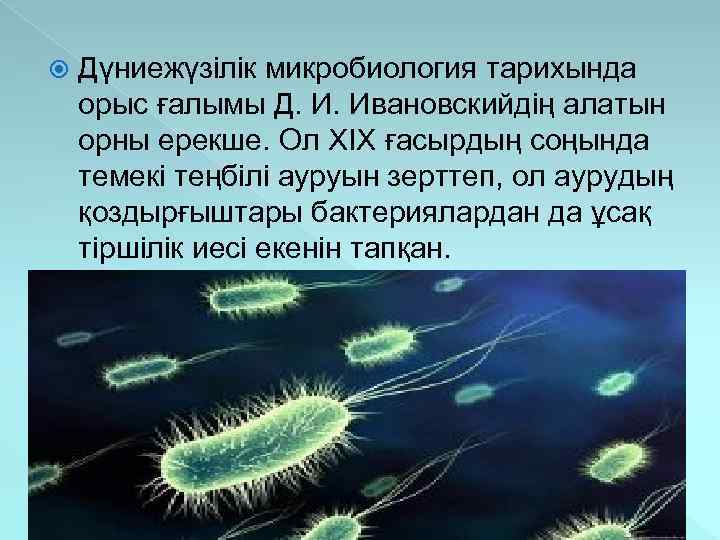  Дүниежүзілік микробиология тарихында орыс ғалымы Д. И. Ивановскийдің алатын орны ерекше. Ол XІX