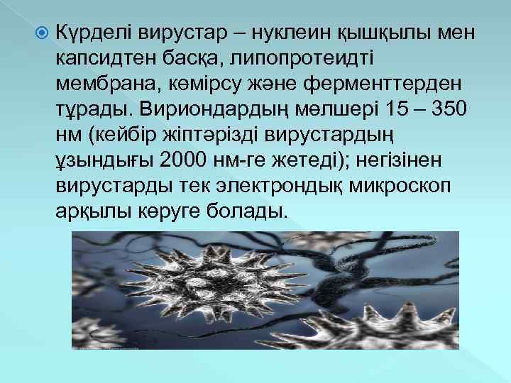  Күрделі вирустар – нуклеин қышқылы мен капсидтен басқа, липопротеидті мембрана, көмірсу және ферменттерден