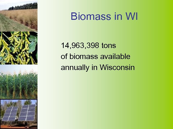 Biomass in WI 14, 963, 398 tons of biomass available annually in Wisconsin 