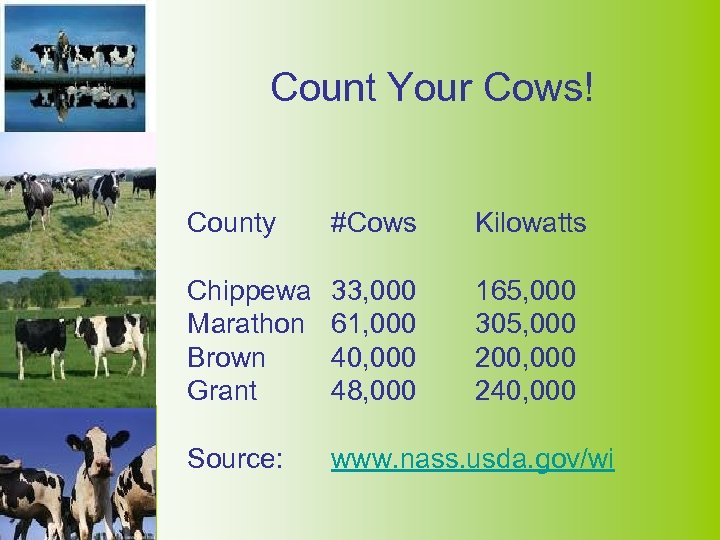 Count Your Cows! County #Cows Kilowatts Chippewa Marathon Brown Grant 33, 000 61, 000