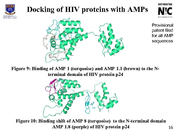 Docking of HIV proteins with AMPs Provisional patent filed for all AMP sequences Figure