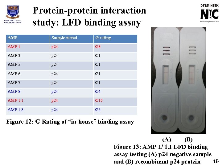 Protein-protein interaction study: LFD binding assay AMP Sample tested G rating AMP 1 p