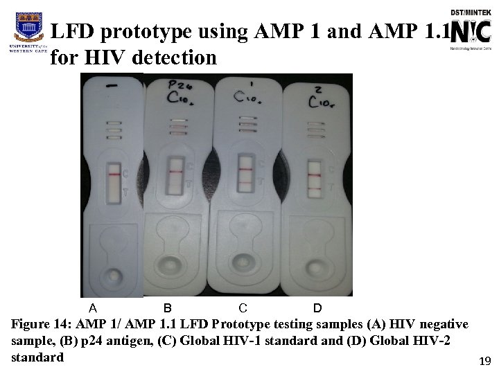 LFD prototype using AMP 1 and AMP 1. 1 for HIV detection A B