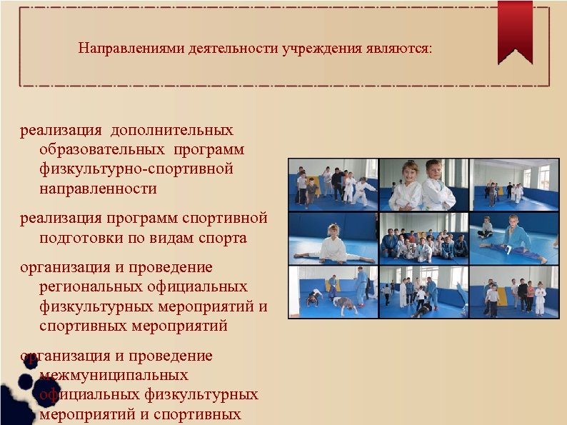 Направлениями деятельности учреждения являются: реализация дополнительных образовательных программ физкультурно-спортивной направленности реализация программ спортивной подготовки