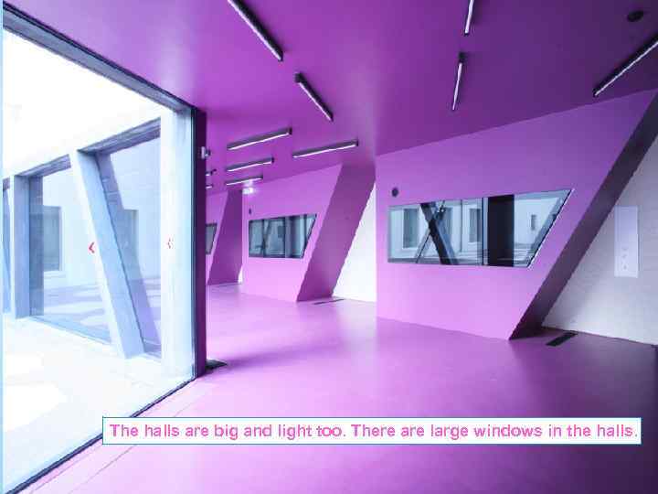 The halls are big and light too. There are large windows in the halls.