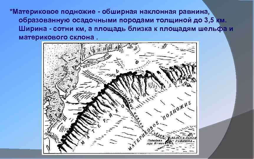 *Материковое подножие - обширная наклонная равнина, образованную осадочными породами толщиной до 3, 5 км.