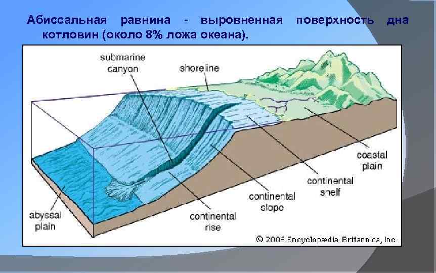 Используя текст параграфа и рисунок 65 расскажите об особенностях строения дна океана