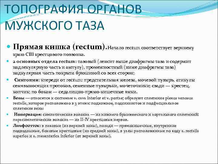 ТОПОГРАФИЯ ОРГАНОВ МУЖСКОГО ТАЗА Прямая кишка (rectum). Начало rectum соответствует верхнему краю СIII крестцового