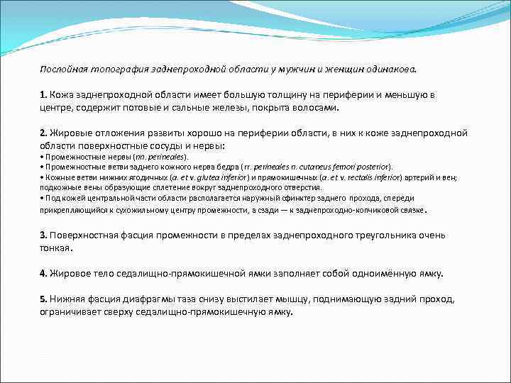 Послойная топография заднепроходной области у мужчин и женщин одинакова. 1. Кожа заднепроходной области имеет