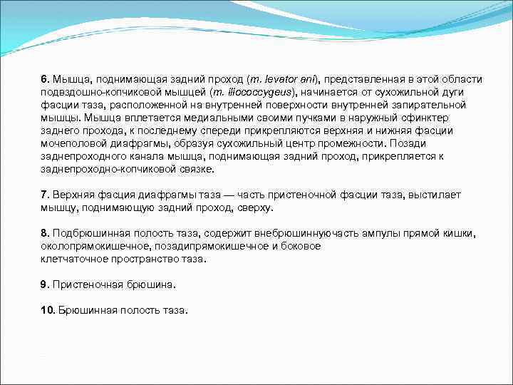 6. Мышца, поднимающая задний проход (m. levator ani), представленная в этой области подвздошно-копчиковой мышцей