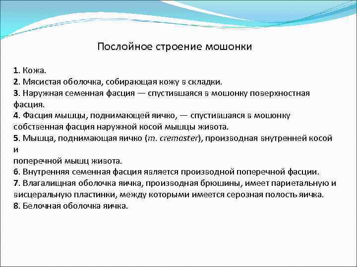 Послойное строение мошонки 1. Кожа. 2. Мясистая оболочка, собирающая кожу в складки. 3. Наружная