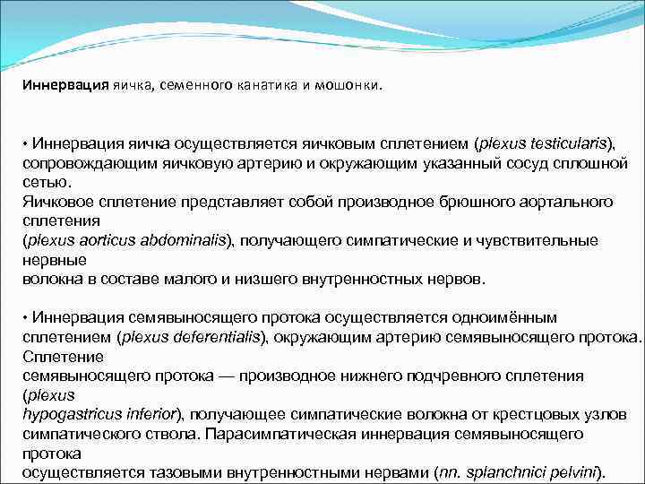 Иннервация яичка, семенного канатика и мошонки. • Иннервация яичка осуществляется яичковым сплетением (plexus testicularis),