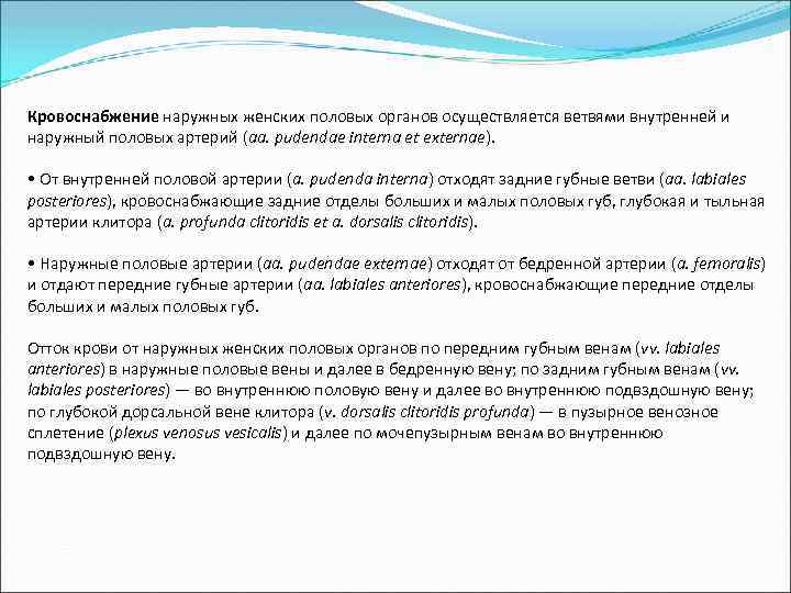 Кровоснабжение наружных женских половых органов осуществляется ветвями внутренней и наружный половых артерий (aa. pudendae