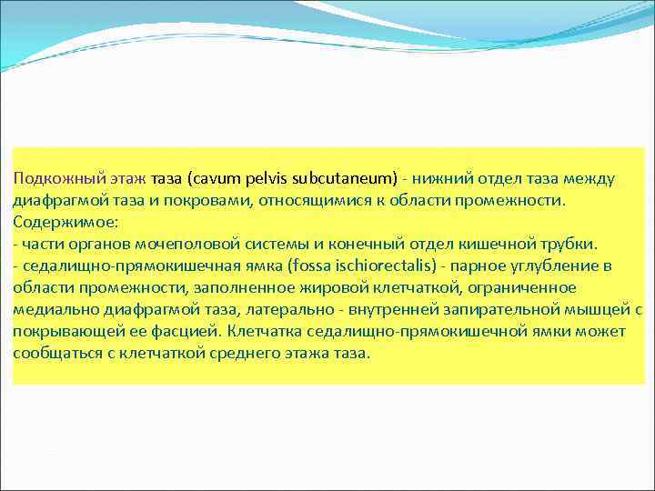 Подкожный этаж таза (cavum pelvis subcutaneum) - нижний отдел таза между диафрагмой таза и