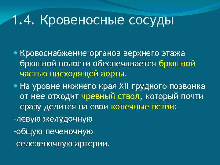 1. 4. Кровеносные сосуды Кровоснабжение органов верхнего этажа брюшной полости обеспечивается брюшной частью нисходящей