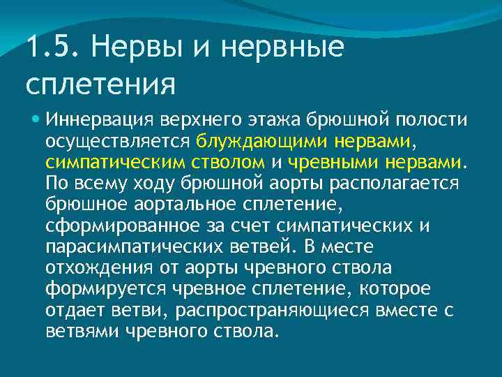 1. 5. Нервы и нервные сплетения Иннервация верхнего этажа брюшной полости осуществляется блуждающими нервами,