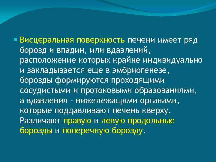  Висцеральная поверхность печени имеет ряд борозд и впадин, или вдавлений, расположение которых крайне