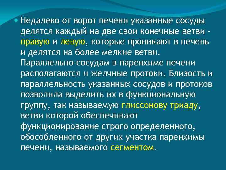  Недалеко от ворот печени указанные сосуды делятся каждый на две свои конечные ветви