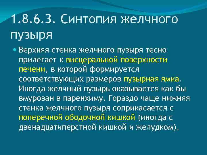 1. 8. 6. 3. Синтопия желчного пузыря Верхняя стенка желчного пузыря тесно прилегает к