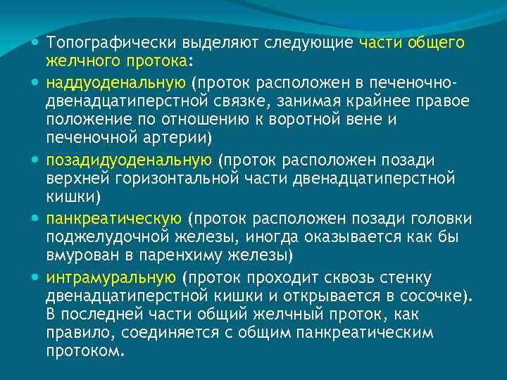  Топографически выделяют следующие части общего желчного протока: наддуоденальную (проток расположен в печеночнодвенадцатиперстной связке,