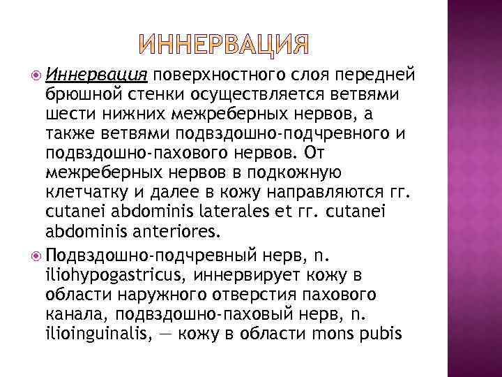  Иннервация поверхностного слоя передней брюшной стенки осуществляется ветвями шести нижних межреберных нервов, а