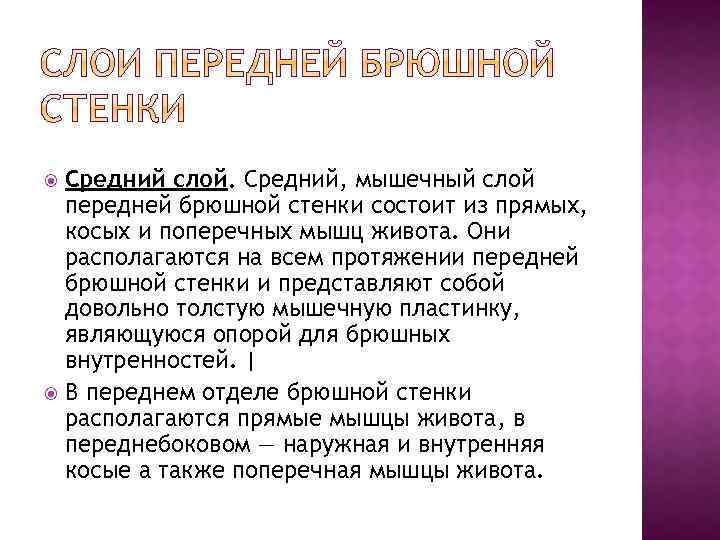 Средний слой. Средний, мышечный слой передней брюшной стенки состоит из прямых, косых и поперечных