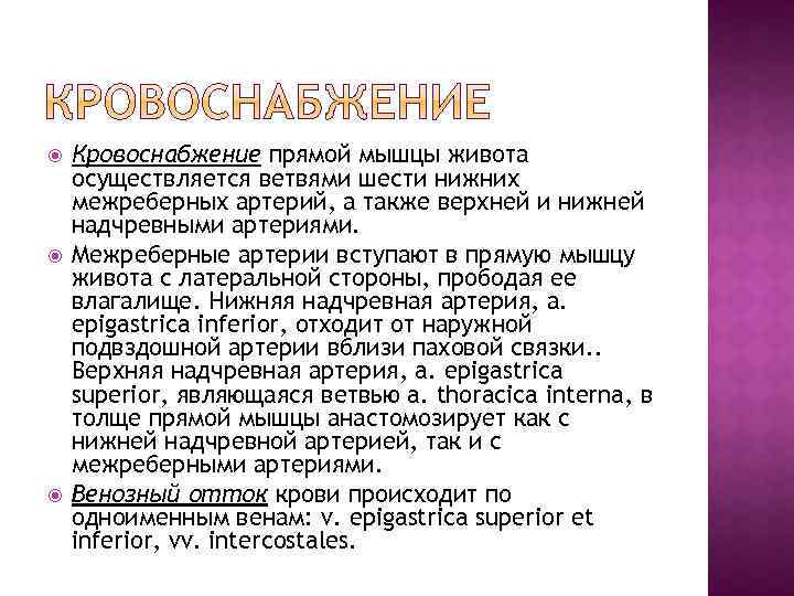  Кровоснабжение прямой мышцы живота осуществляется ветвями шести нижних межреберных артерий, а также верхней