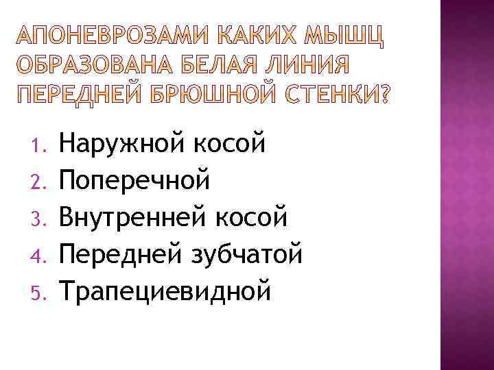 1. 2. 3. 4. 5. Наружной косой Поперечной Внутренней косой Передней зубчатой Трапециевидной 